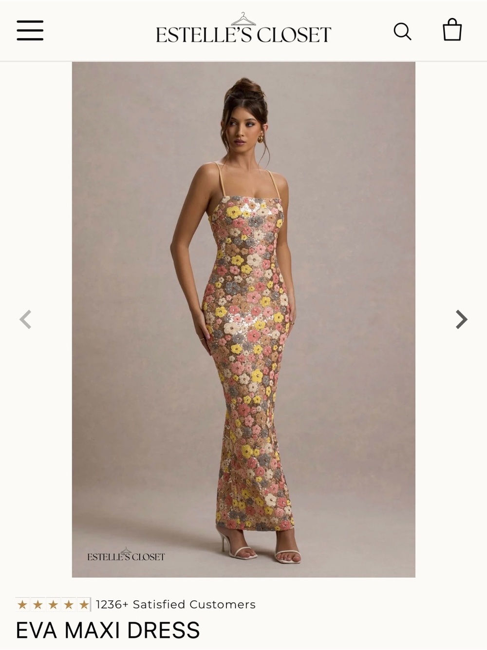 Estella's Closet Eva Maxi Dress in Multi Floral